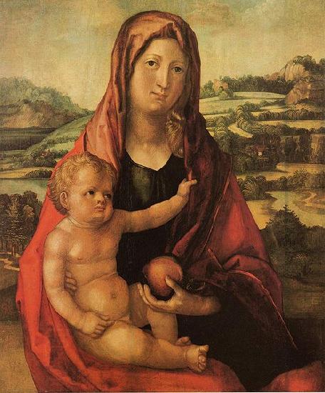 Albrecht Durer Maria mit Kind vor einer Landschaft oil painting picture